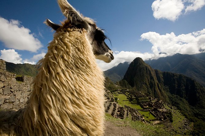 10-Day Taste Peru Experience: Lima, Nasca, Cusco & Machu Picchu - Pisco, seafood and Lima’s fountains