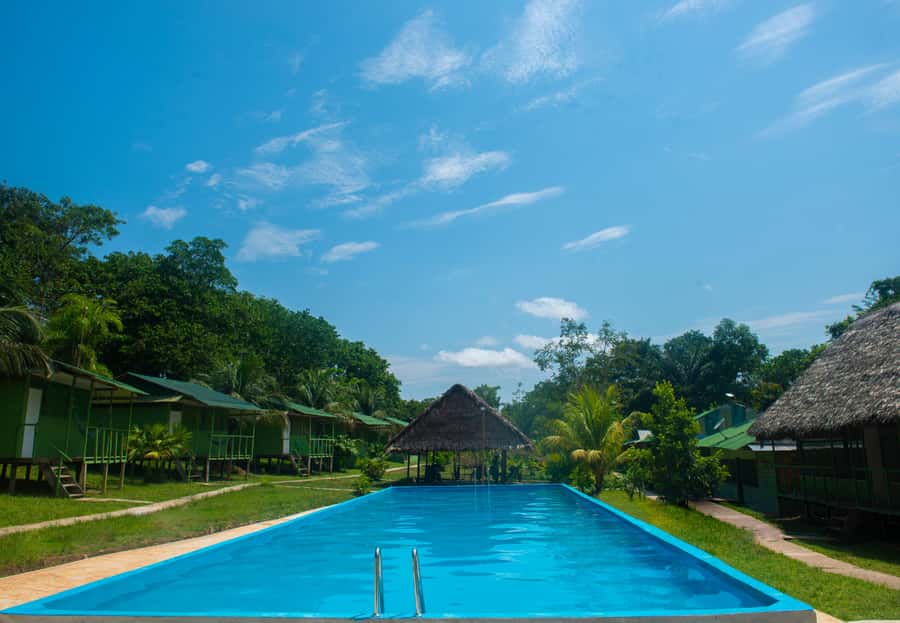 2-Day All Inclusive Guided Jungle Tour from Iquitos - Key points to know before you book