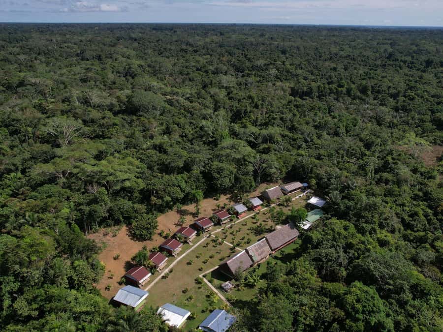 2-Day All Inclusive Guided Jungle Tour from Iquitos - From Iquitos streets to the Nanay River