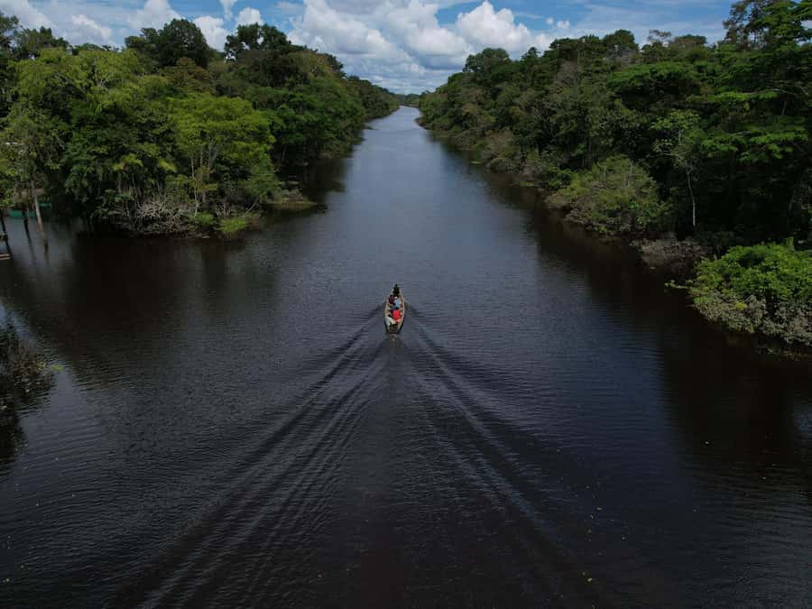 2-Day All Inclusive Guided Jungle Tour from Iquitos - A market stop and lunch before the afternoon activities