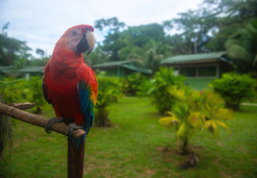 2-Day All Inclusive Guided Jungle Tour from Iquitos - The nocturnal hike is worth the extra hour