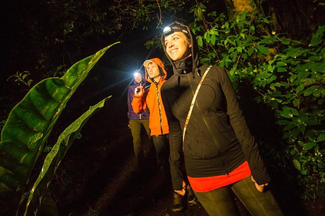 2-Day All Inclusive Guided Jungle Tour from Iquitos at Maniti Eco-Lodge - What the guide can add to your Amazon experience