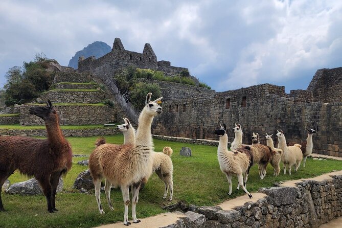 2-Day Inca Trail To Machu Picchu - Km 104 and the original Inca path