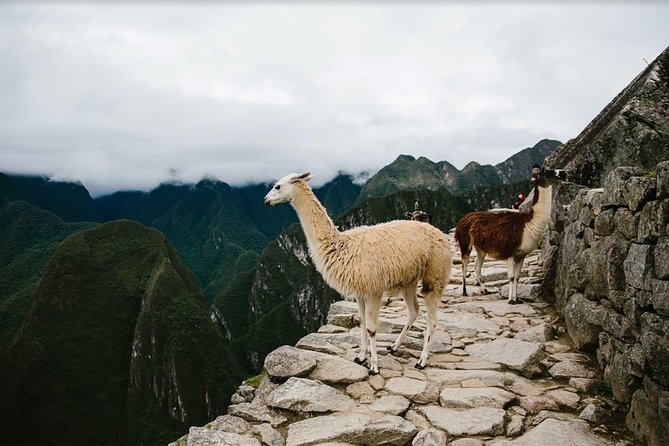 2-Day Short Inca Trail to Machu Picchu - Aguas Calientes: the useful overnight pause