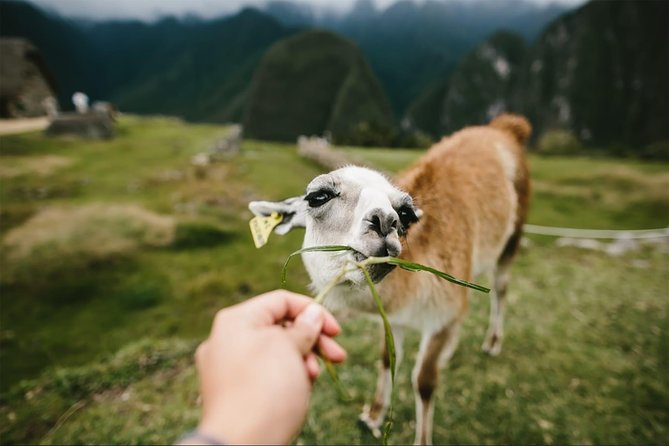 2-Day Short Inca Trail to Machu Picchu - Adding Huayna Picchu to the second day