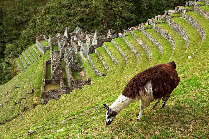 2 Day - Short Inca Trail to Machu Picchu - Group Service - A short Inca Trail with a serious payoff