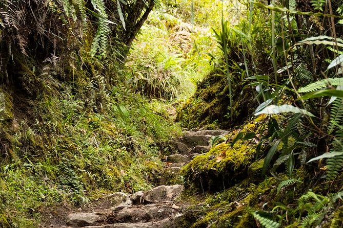 2 Day - Short Inca Trail to Machu Picchu - Group Service - Day 2: The 5:30 a.m. bus to Machu Picchu