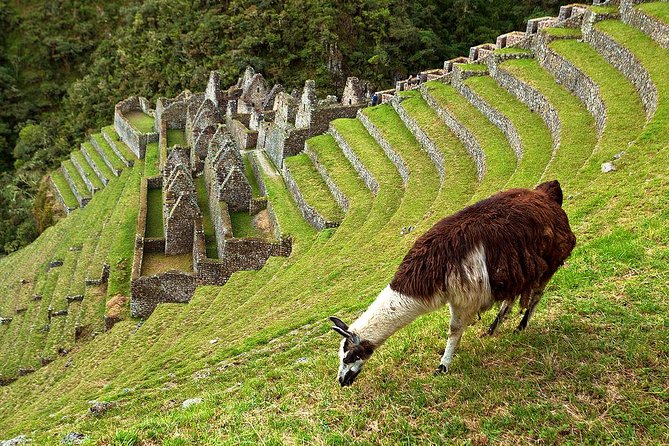 2 Day - Short Inca trail to Machu Picchu - Private Services - Early entry to Machu Picchu