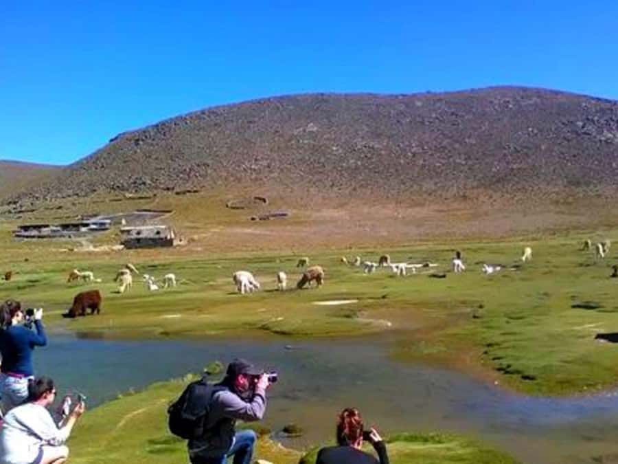 2-Day Tour Colca Canyon in Arequipa with end in Puno - Is $78 a good value?