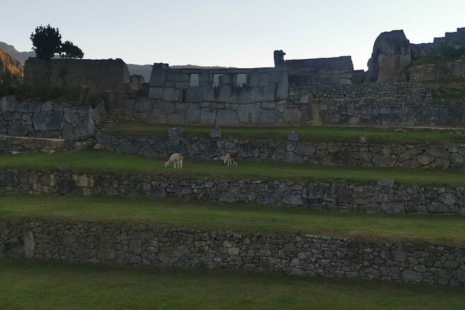 2-Day Tour in Sacred Valley and Machu Picchu from Cusco - Helpful guides and steady logistics