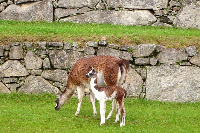 2 Day - Tour to Machu Picchu from Cusco - Group Service - What the $480 price really covers