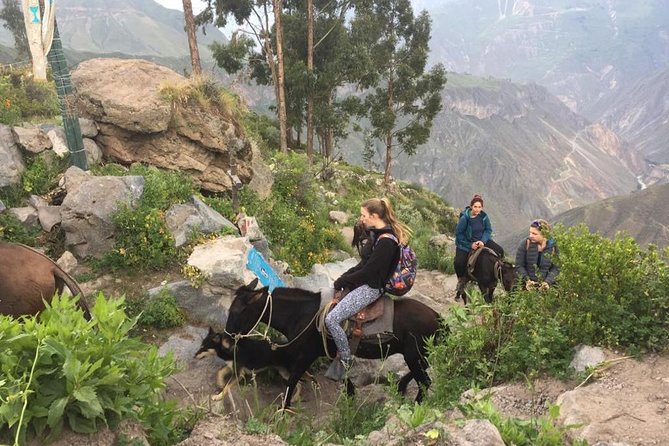 2 Day Trek Including Transfer to Puno / Colca Canyon - Sangalle at 1,900 meters: pool, dinner, and simple lodging