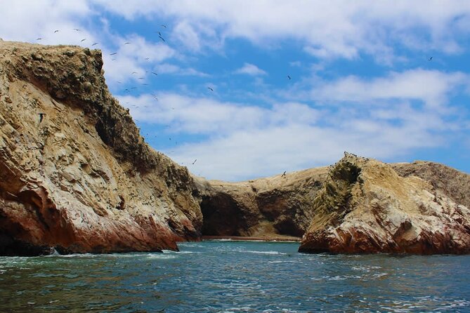 2-Hour Tour to the Ballestas Islands from Puerto San Martín - The port meeting point needs careful checking