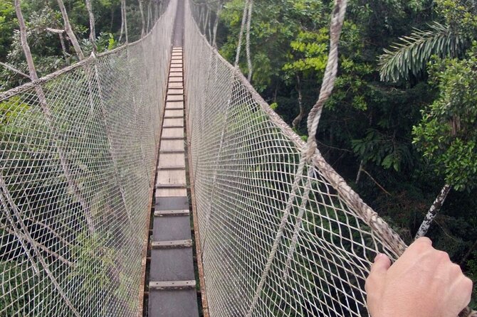 3-Day All Inclusive Guided Jungle Tour from Iquitos at Maniti Eco-Lodge - The final jungle hike and local community visit