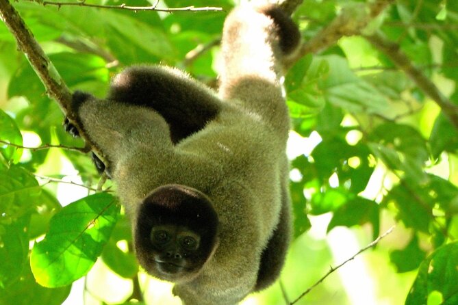 3-Day Eco-Sustainable Private Tour Manu National Park - Key points to know before you go