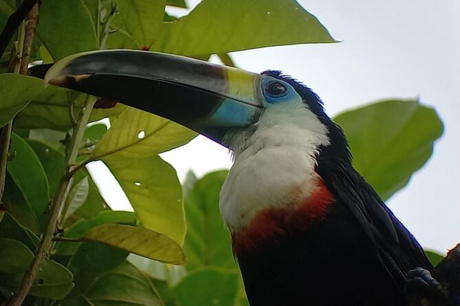 3-Day Eco-Sustainable Private Tour Manu National Park - Reaching Manu and the upper Madre de Dios