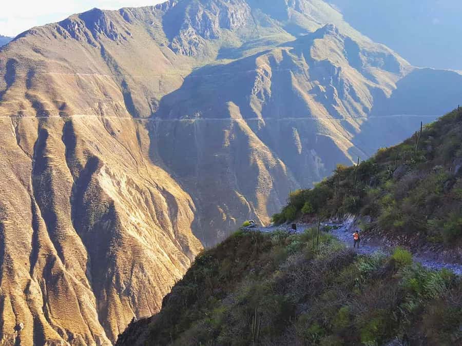 3-day trek to the Colca Canyon from Arequipa ending in Puno - Key points to know before booking