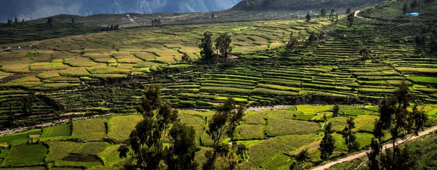 3-day trek to the Colca Canyon from Arequipa ending in Puno - Should you book it?