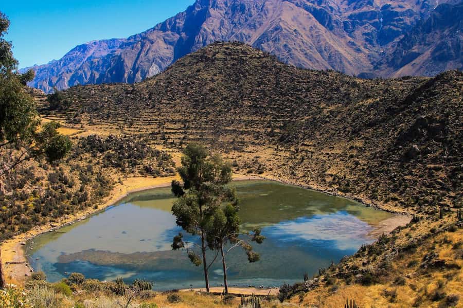 3-day trek to the Colca Canyon from Arequipa ending in Puno - Day one: condors, Cabanaconde, and the trail to San Juan