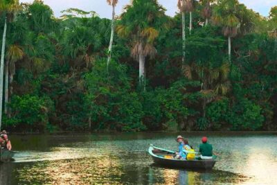 4 Day Tambopata Amazon Wildlife & Canopy Experience
