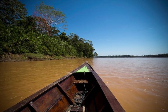 4 Day Tambopata Amazon Wildlife & Canopy Experience - What the guides add to the experience