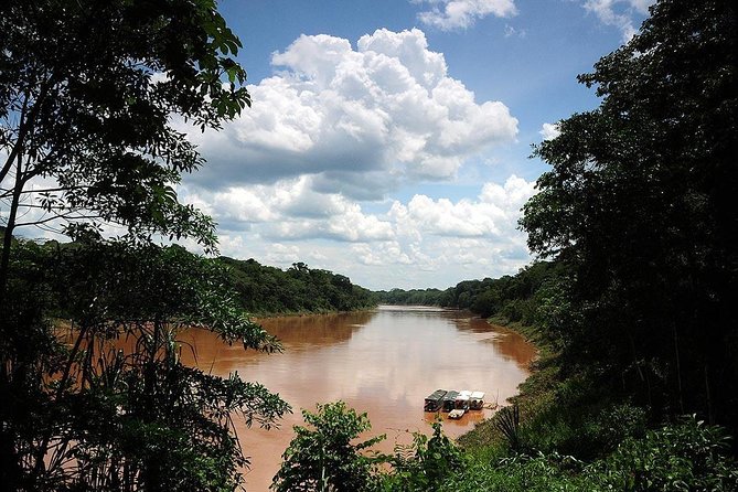 4 Day Tambopata Amazon Wildlife & Canopy Experience - The lodge: know the comfort level before you pay