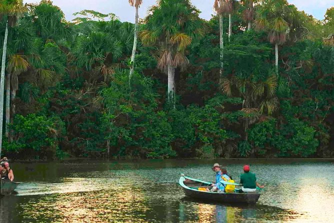 4 Day Tambopata Amazon Wildlife & Canopy Experience - Day 2: A 40-meter canopy view and Sandoval Lake