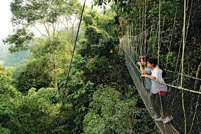 4 Day Tambopata Jungle Tour with Local Guide - Kayaking, river swimming, and Monkey Island