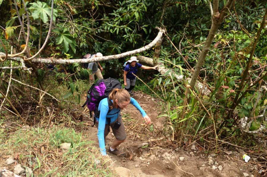 4 Days Inca Jungle Adventure to Machu Picchu - Who should choose this four-day adventure