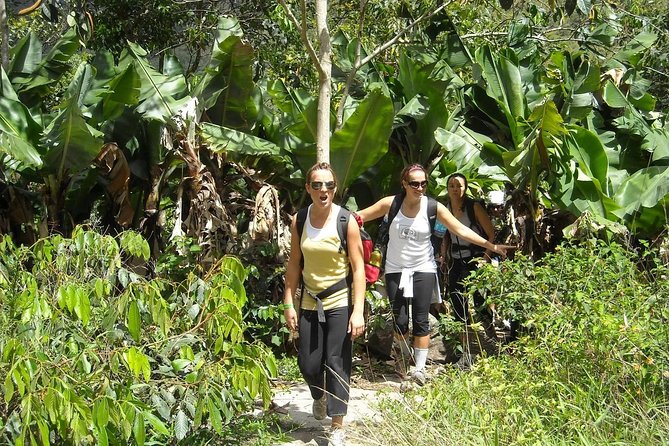 4 Days Inca Jungle to Machu Picchu Standard - Day three: Santa Teresa, optional zipline, and Aguas Calientes