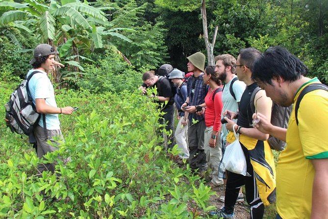 4 Days Inca Jungle to Machu Picchu Standard - How hard is the Inca Jungle route?