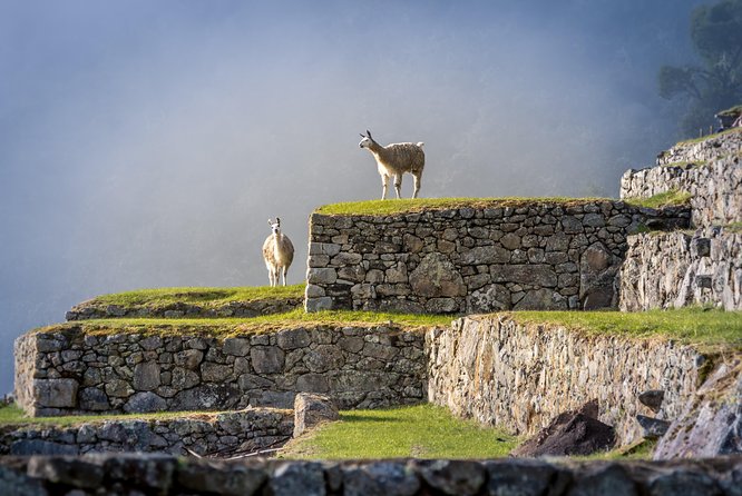 5 Day - Tour to Machu Picchu Traditional - Group service - Group size, guiding, and the pace of the trip