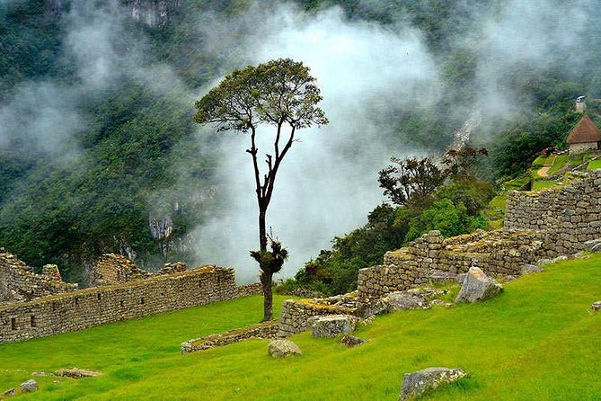 6-Day Cultural Tour to Machu Picchu - Guides and the human side of the trip
