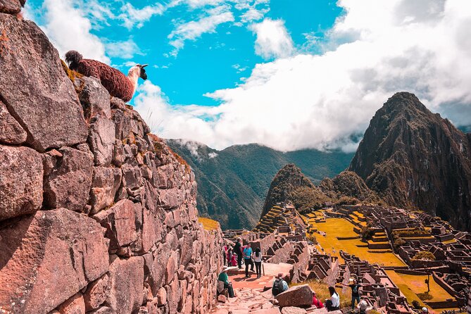 6-Day Tour of Cusco Magico-Machu Picchu-Rainbow Mountain - Day 1: Qoricancha and the stone walls above Cusco