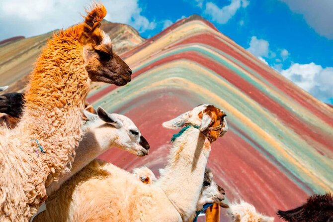6-Day Tour of Cusco Magico-Machu Picchu-Rainbow Mountain - The transport, meals, and group size