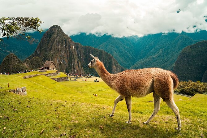 6-Day Tour of Cusco Magico-Machu Picchu-Rainbow Mountain - Day 2: Pisac, Ollantaytambo, and the train to Aguas Calientes