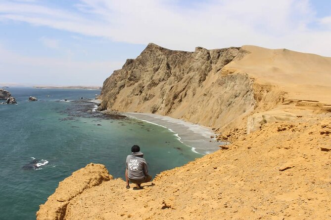 7-Hours Tour in Paracas National Reserve with Pickup - What you actually see at Ballestas