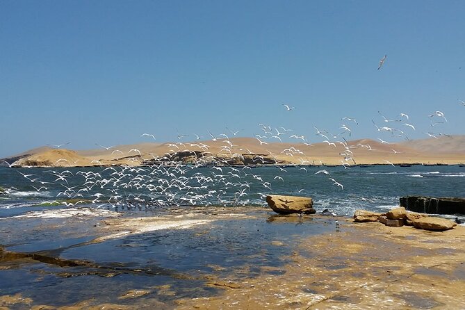 7-Hours Tour in Paracas National Reserve with Pickup - The Cathedral, or what remains of it