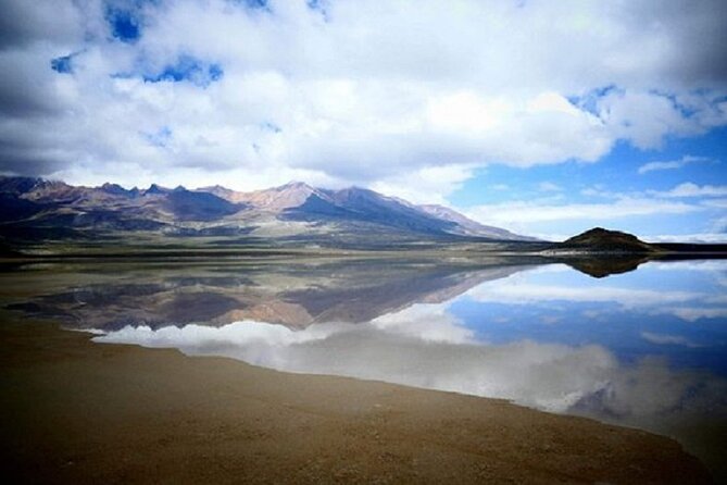 8-Hours Tour in Arequipa Laguna de Salinas with Pick-up - Salt Flats Near Arequipa