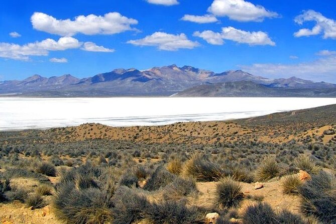 8-Hours Tour in Arequipa Laguna de Salinas with Pick-up - Altitude at 4,200 Meters