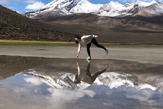 8-Hours Tour in Arequipa Laguna de Salinas with Pick-up - Wildlife in Aguada Blanca National Reserve