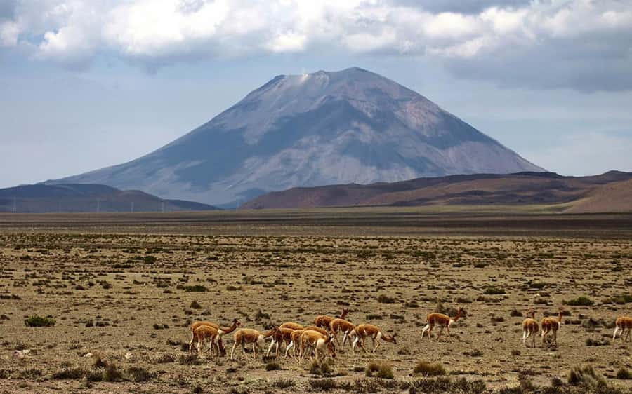 Adventure Day in Arequipa: Pillones Waterfall + Rock Forest - Guide quality and the importance of pickup confirmation