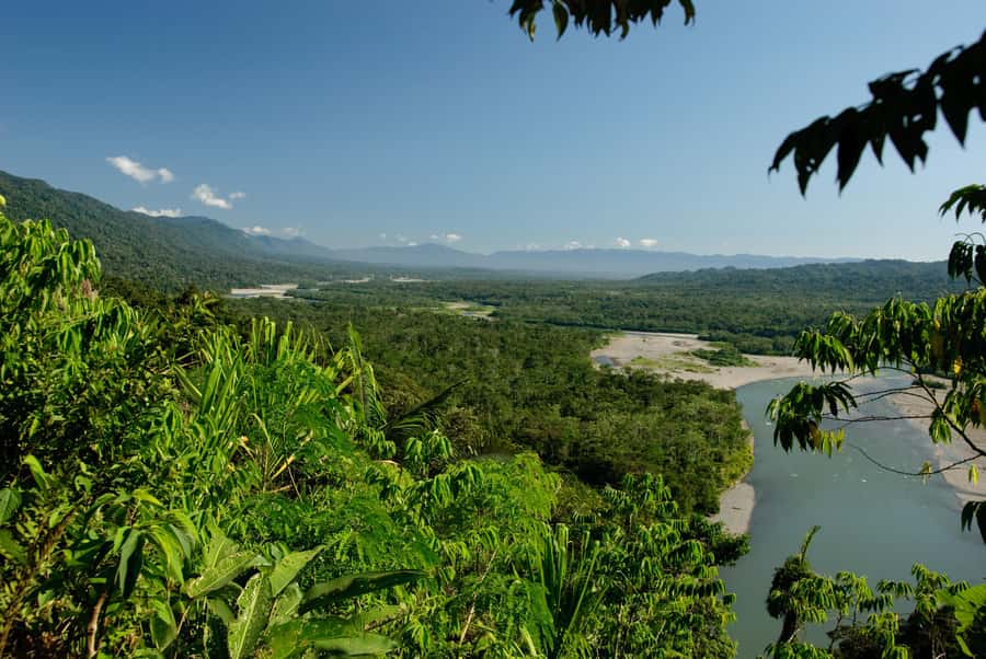 Amazonas Manu Cultural Zone 4 Days / 3 Nights - Who will enjoy this Manu Cultural Zone trip