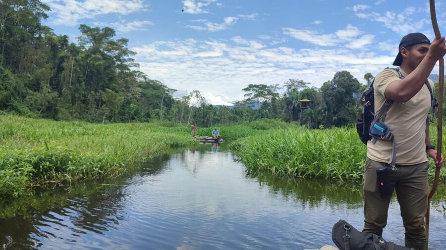 Amazonian Adventure 3 Days: Exploring the Jungle from Cusco - Giant Kapok Trees and Forest Trails