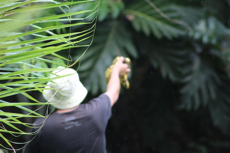 Amazonian Adventure 3 Days: Exploring the Jungle from Cusco - What the $429 Price Covers