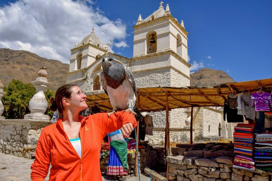 Andes: Colca Canyon Day-Trip - Why Cruz del Condor is worth the early alarm