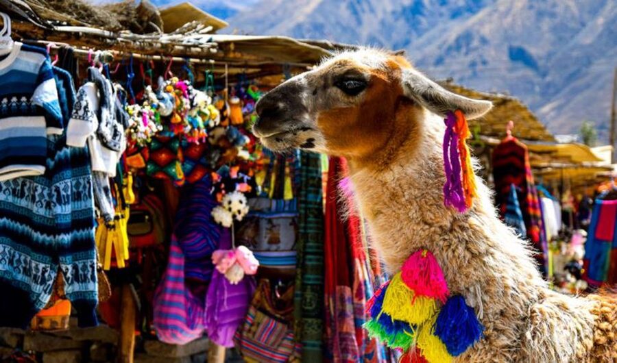 Andes: Colca Canyon Day-Trip - What $36 really buys you