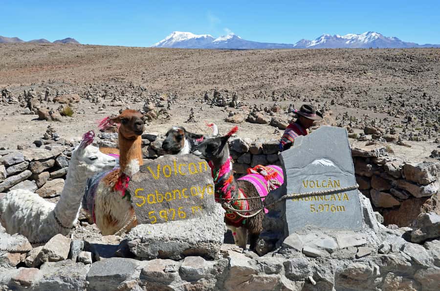 Arequipa: 2-Day Colca Canyon Classic Tour return to Arequipa - The early road to Cruz del Condor