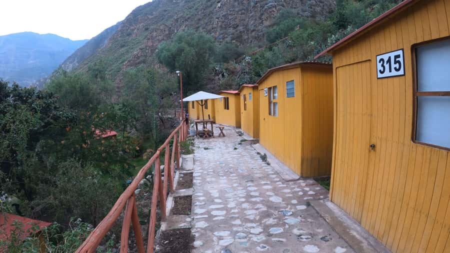 Arequipa: 2-day Colca Canyon Trekking, Ending in Puno - Cruz del Cóndor and the morning flight