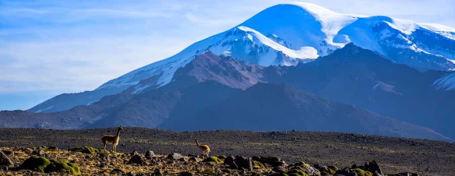 Arequipa | Ascent to Chachani Volcano 2 days / 1 night - The descent, rest stops, and ride back to Arequipa